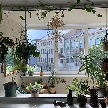 Three Bedroom With Two Terraces For 7People+Baby カウナス エクステリア 写真