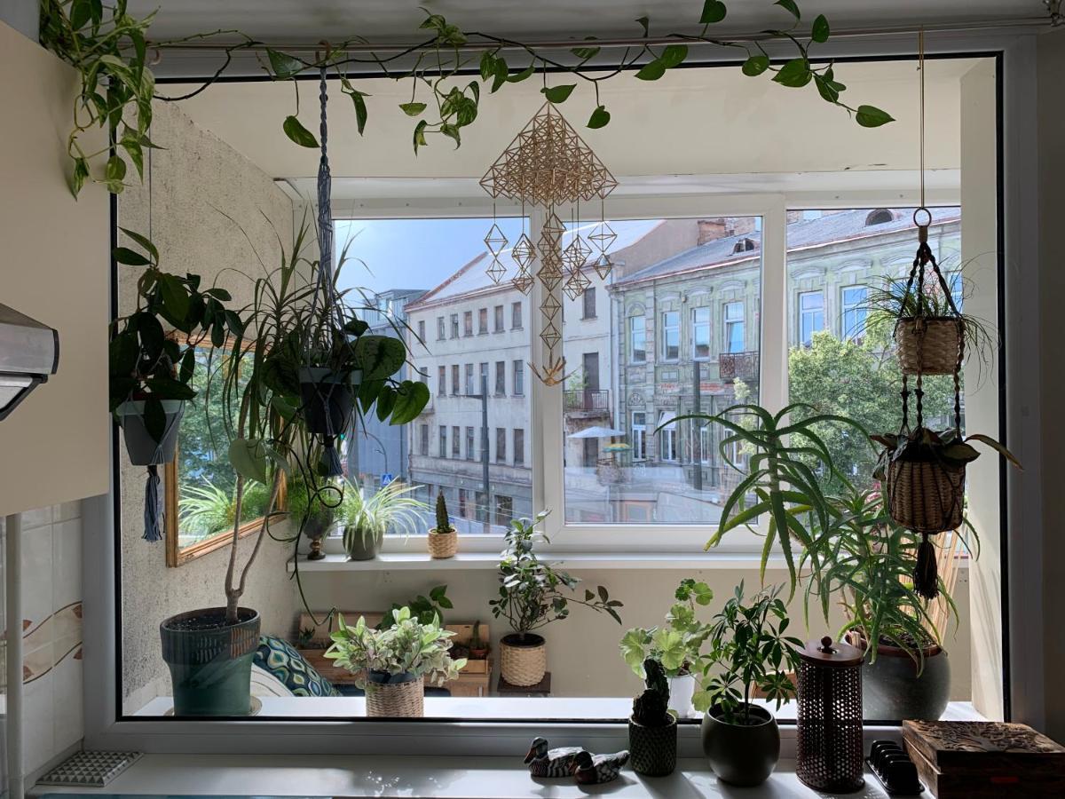 Three Bedroom With Two Terraces For 7People+Baby カウナス エクステリア 写真