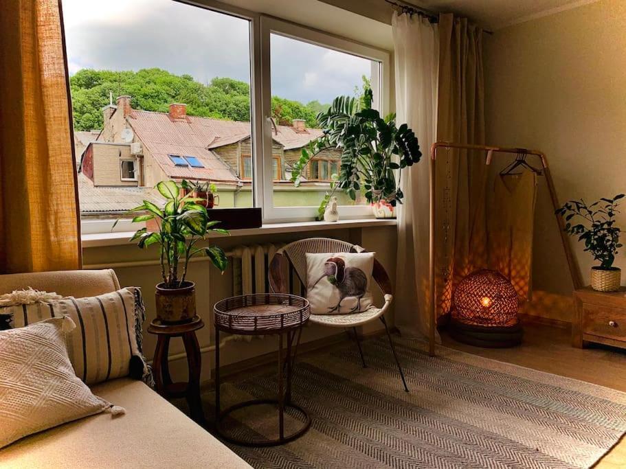 Three Bedroom With Two Terraces For 7People+Baby カウナス エクステリア 写真