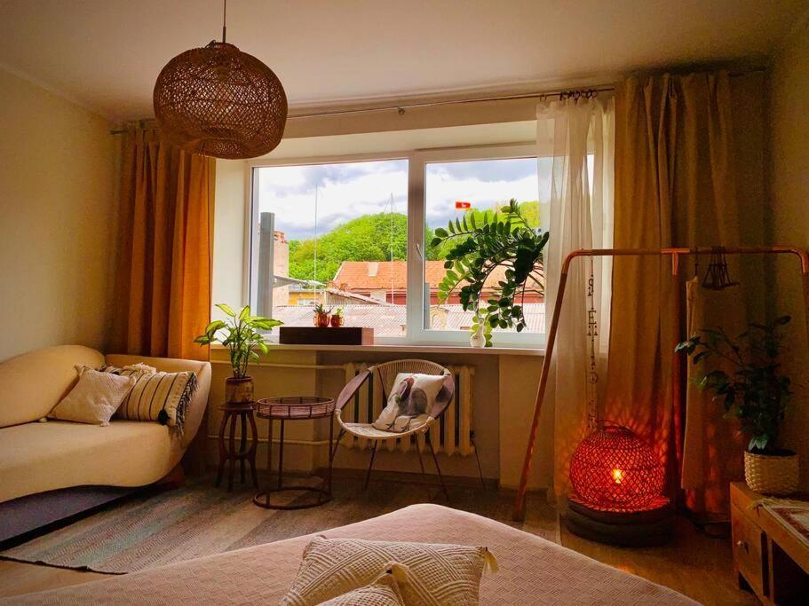 Three Bedroom With Two Terraces For 7People+Baby カウナス エクステリア 写真