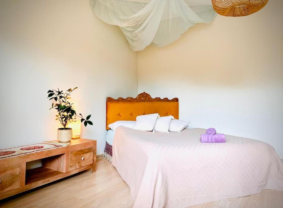 Three Bedroom With Two Terraces For 7People+Baby カウナス エクステリア 写真