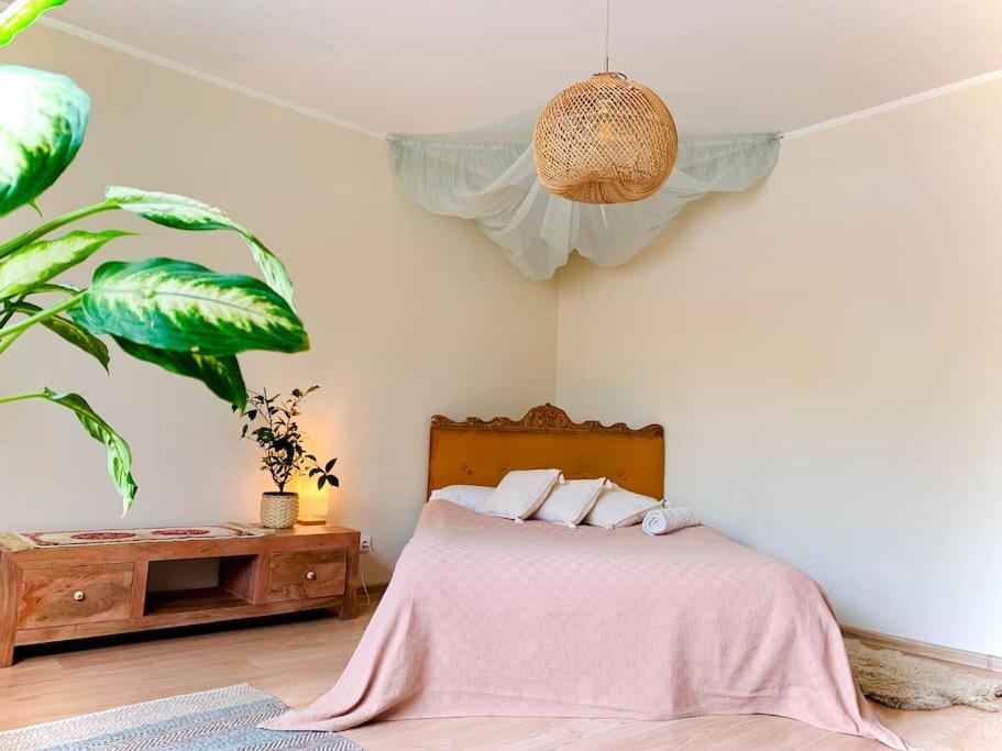 Three Bedroom With Two Terraces For 7People+Baby カウナス エクステリア 写真