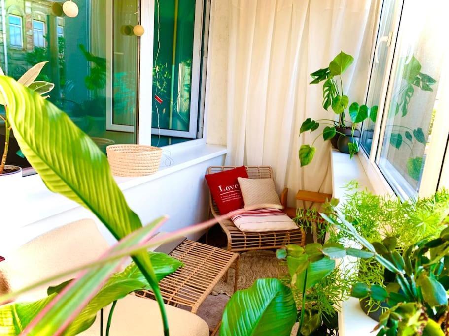 Three Bedroom With Two Terraces For 7People+Baby カウナス エクステリア 写真