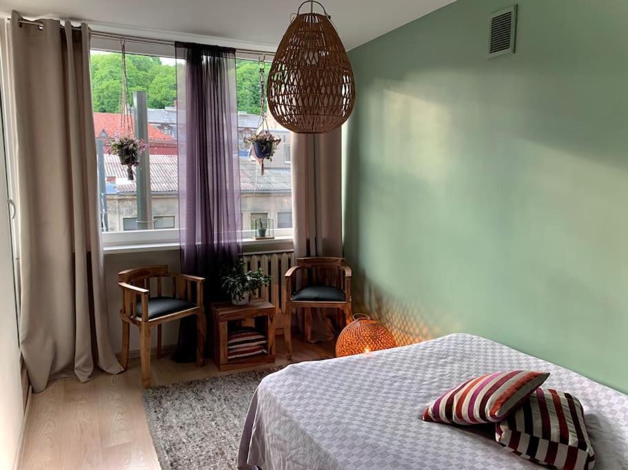 Three Bedroom With Two Terraces For 7People+Baby カウナス エクステリア 写真
