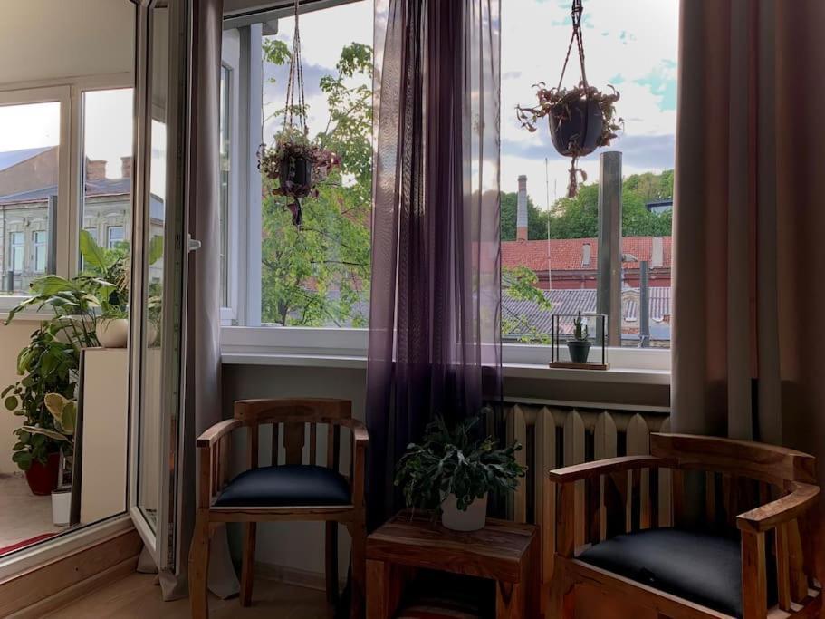 Three Bedroom With Two Terraces For 7People+Baby カウナス エクステリア 写真