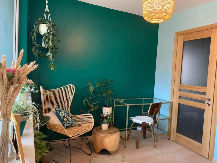 Three Bedroom With Two Terraces For 7People+Baby カウナス エクステリア 写真