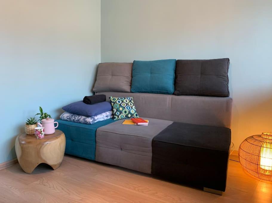 Three Bedroom With Two Terraces For 7People+Baby カウナス エクステリア 写真