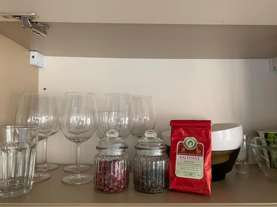 Three Bedroom With Two Terraces For 7People+Baby カウナス エクステリア 写真