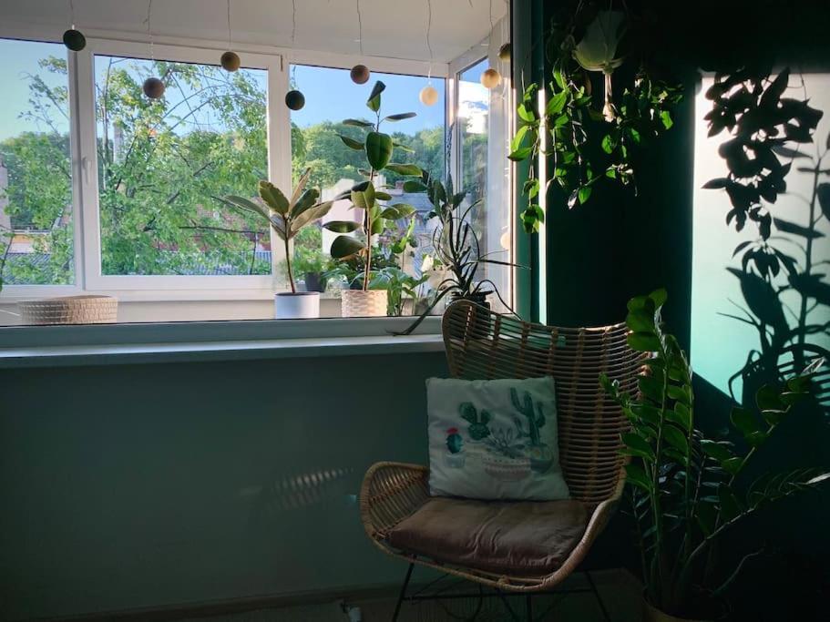 Three Bedroom With Two Terraces For 7People+Baby カウナス エクステリア 写真