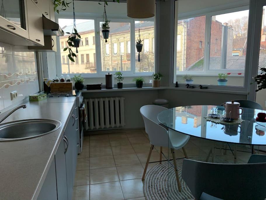 Three Bedroom With Two Terraces For 7People+Baby カウナス エクステリア 写真